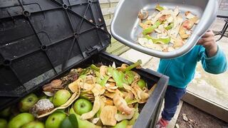 ¿Cómo evitar el desperdicio de alimentos y reducir emisiones?