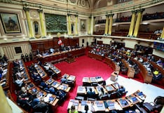 Delegación de facultades y madurez política