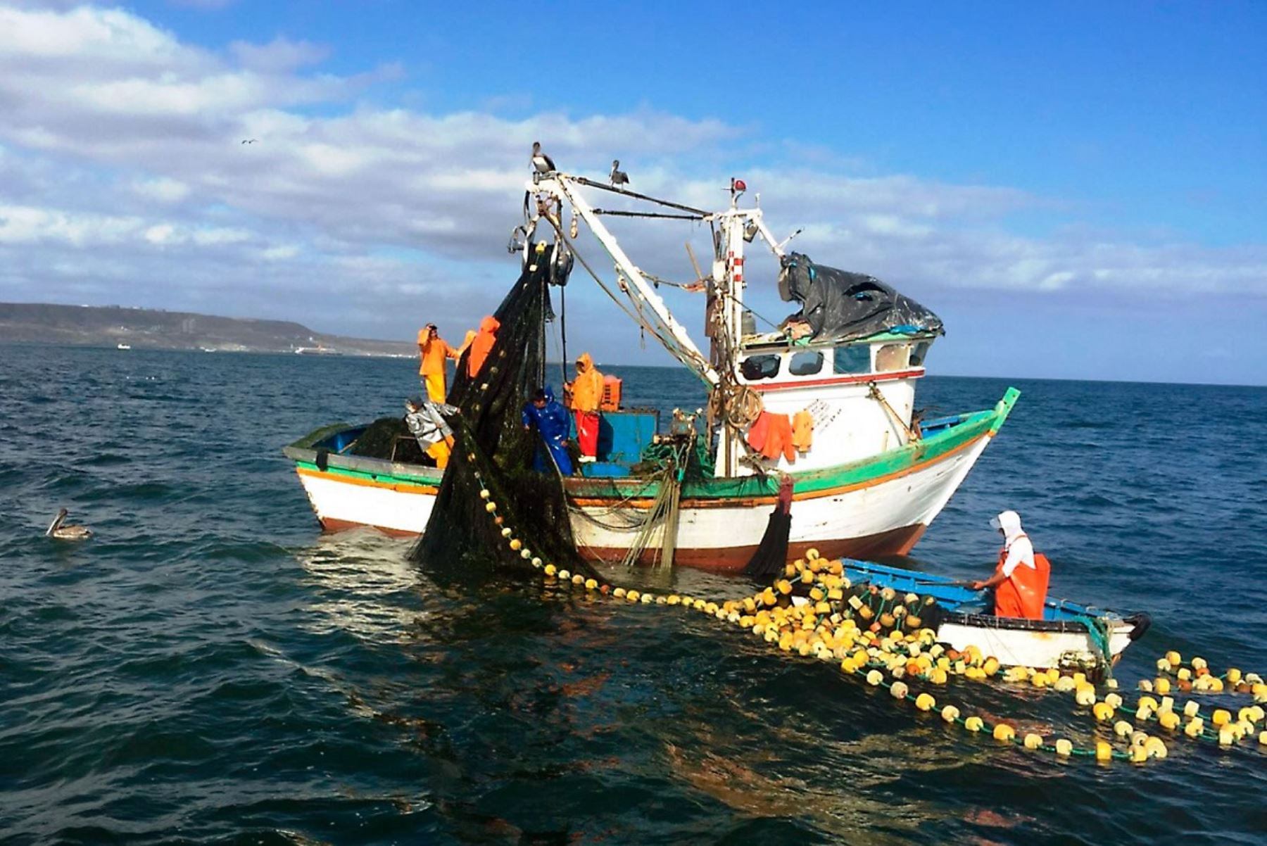 En el primer bimestre hubo condiciones oceanográficas favorables. (Foto: Andina)