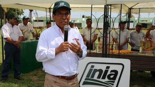 Perú planea elevar uso de semillas mejoradas de 12% a 50% en cinco años, según Minagri