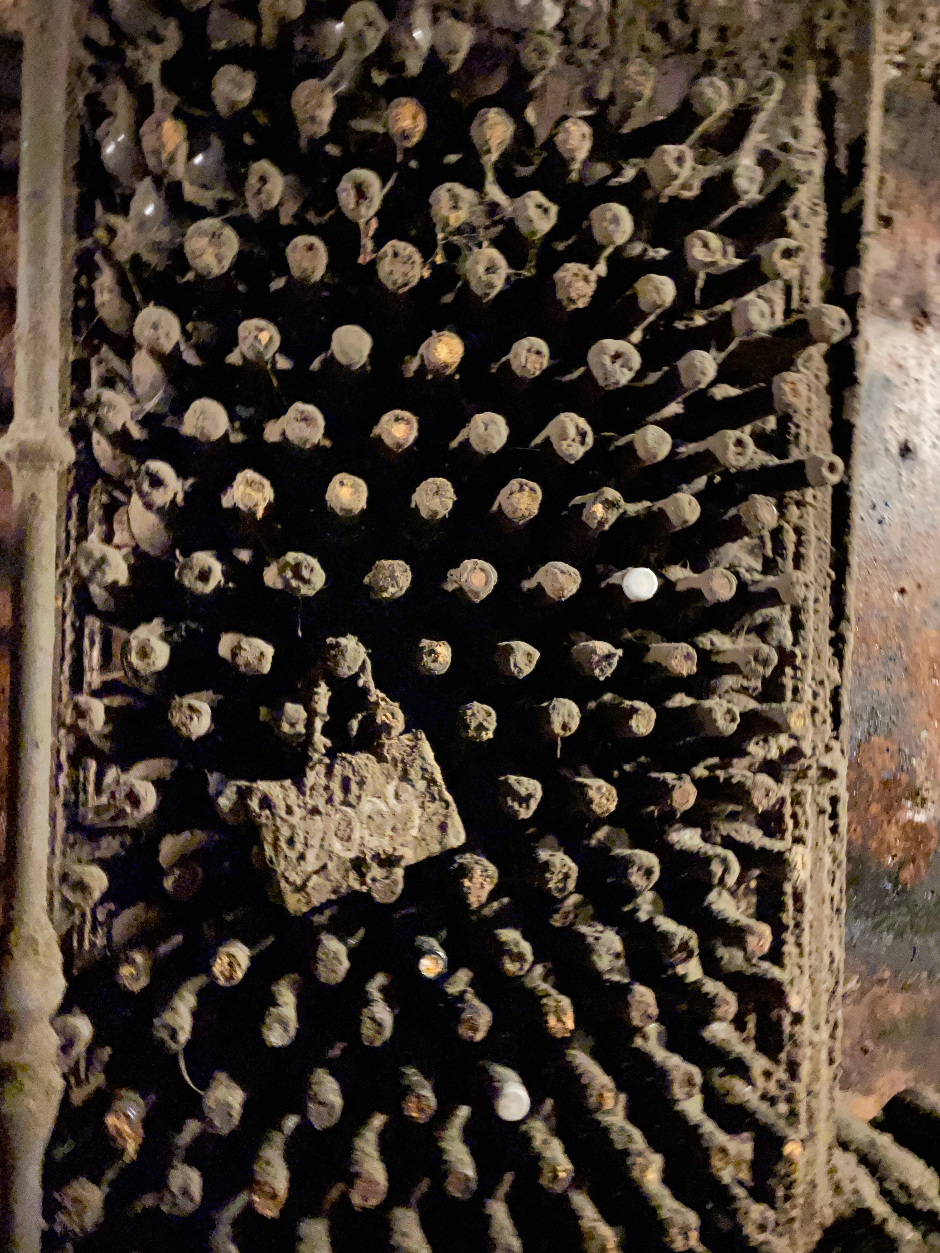 (Foto: José Bracamonte)