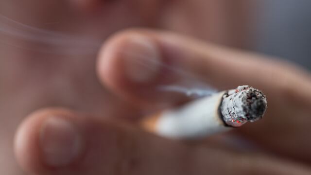 OMS: Tabaco no sólo mata a gente, también al medio ambiente