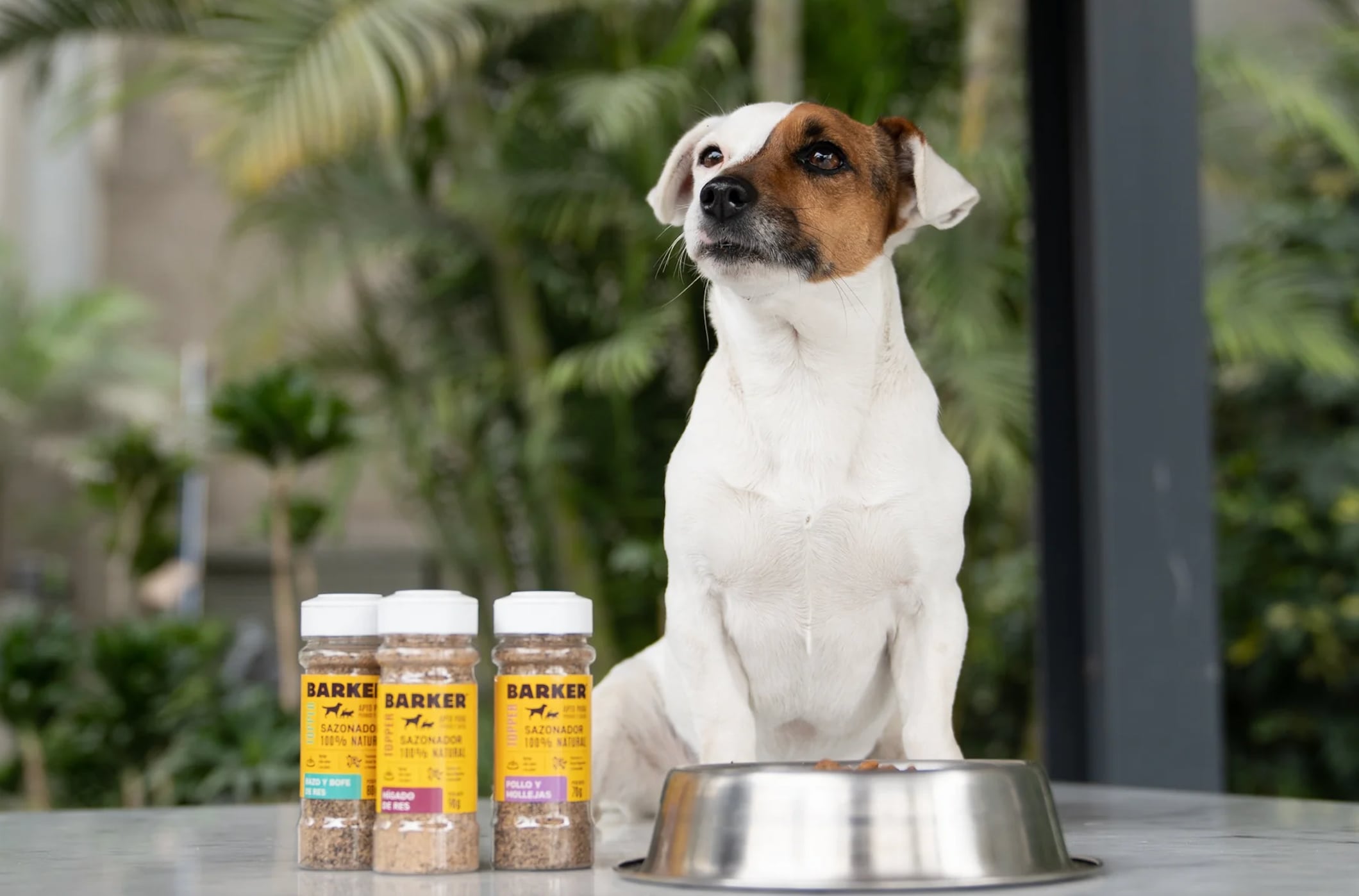 Según la consultora Mordor Intelligence, el mercado global de alimentos para perros registrará una tasa de crecimiento anual compuesta de 4.2% entre 2022 y 2027. (Foto: Barker).