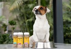 Grupo Albar inicia internacionalización con alimentos para mascotas en Bolivia