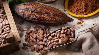 Cacao: Proyecto de Concytec busca reducir su nivel de cadmio para evitar restricción de Europa