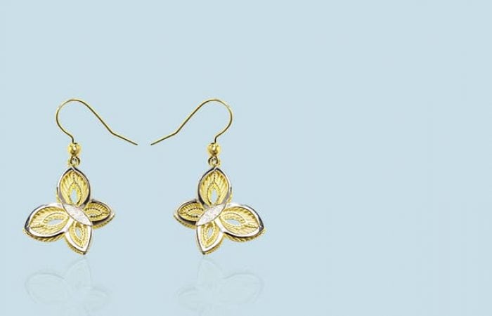 New Fashion Perú fue creado en 1995.