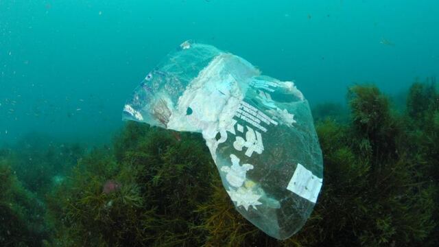 La basura marina en cifras: el 80% es plástico, sobre todo bolsas y botellas