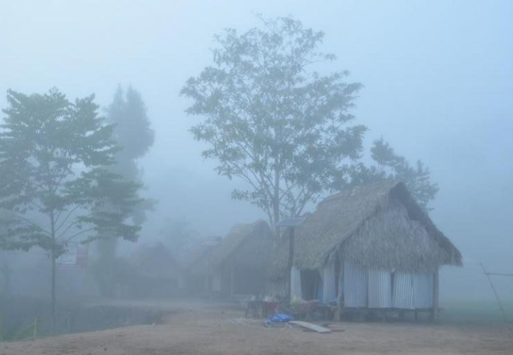 Friaje en la selva. Foto: Andina