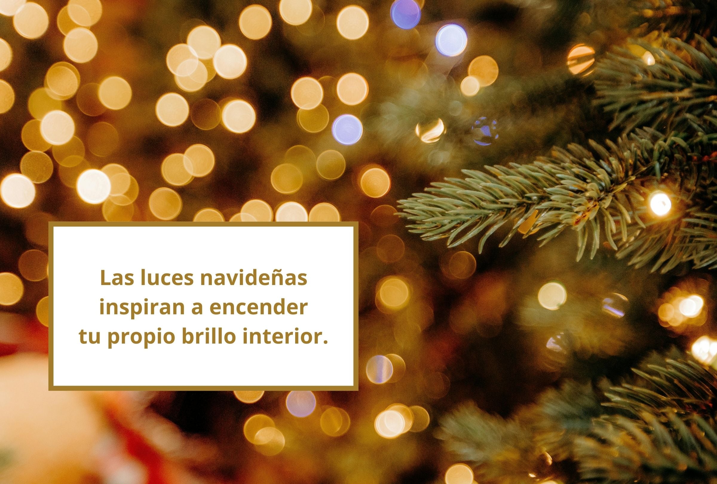 Las luces navideñas inspiran a encender tu propio brillo interior. (Foto: Composición Gestión Mix)