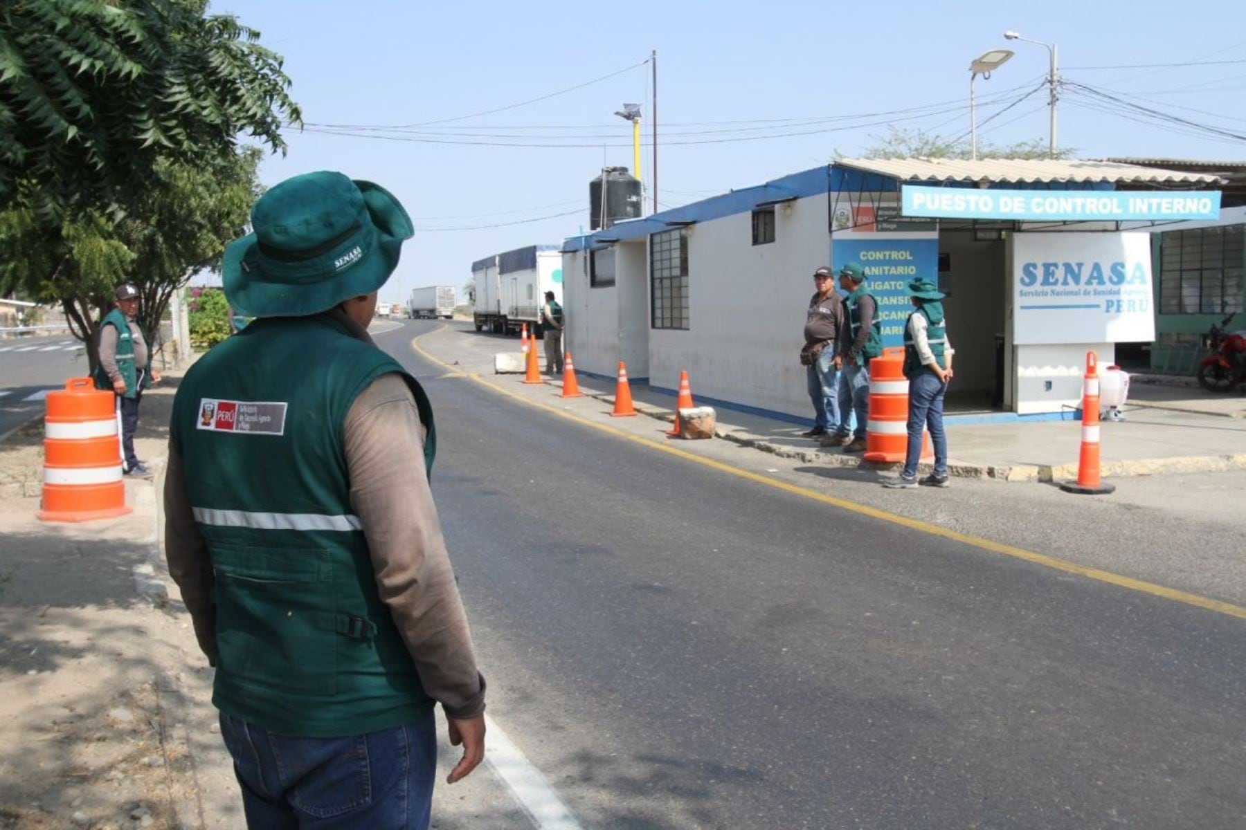Los pasajeros y tripulantes que se trasladen por aeropuertos, puertos marítimos o puestos de control fronterizos no pueden ingresar en su equipaje productos frescos o secos naturalmente (frutas y flores. (Foto: Agencia Andina)