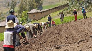 Midagri inicia registro para entrega de subvención económica a 300,000 agricultores