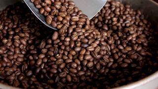 Envíos de café y cacao impulsan exportación de la Amazonía a inicios del 2024