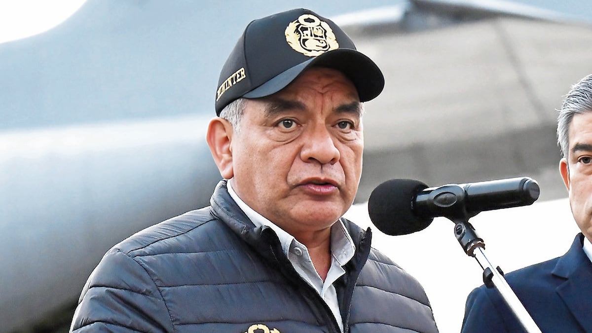 Facultades legislativas: Mininter plantea regular las armas de uso civil