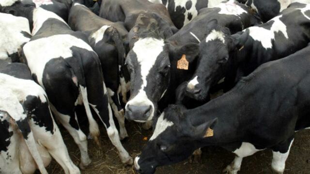 ADIL: El Perú consume 30% menos leche que el mundo desarrollado