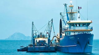 Pesquera noruega Cermaq continuará con su plan para comprar Copeinca