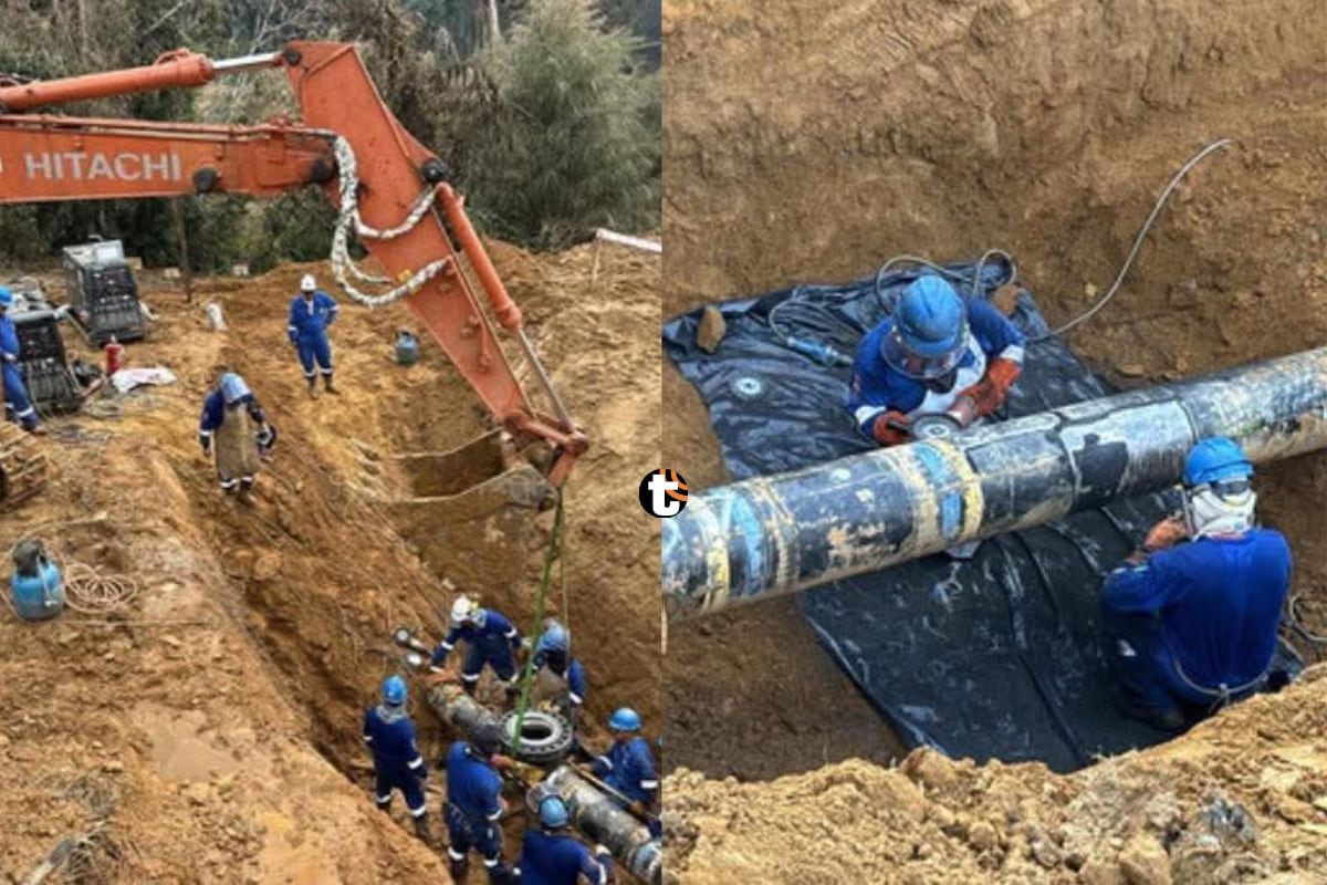 TGP reporta más del 50% de avance en reparación de ducto