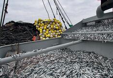 Exportaciones crecieron 9.6% en agosto respecto a 2023: ¿cuáles destacaron?