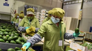 Senasa: agroexportación peruana avanza en Europa sin problemas ante requisitos sanitarios