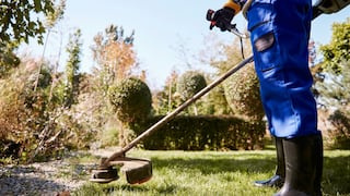 Nueva ley SB 290 en Florida: multas de hasta $500 por tocar puertas y otros cambios clave para jardineros