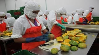 Agroindustrial Ecosac alista una segunda planta empacadora de fruta