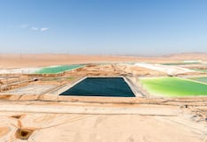 BASF desecha planes de invertir en activos de litio en Chile