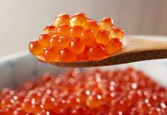 Pesquera Mar Pacífico mira ingresar a India, mientras, planea diversificación de negocios