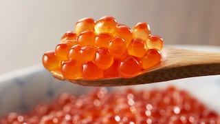 Pesquera Mar Pacífico mira ingresar a India, mientras, planea diversificación de negocios