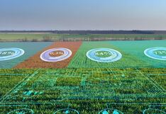 IA “cosecha datos” para optimizar rendimiento de cultivos peruanos, ¿Cuáles son?