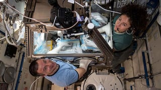 No es ciencia ficción: la solución a tu problema de salud vendrá del espacio