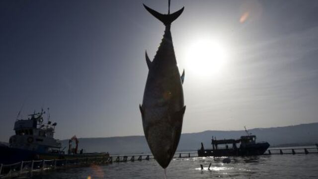 EE.UU. declara la guerra a pesca ilegal y habrá programa de trazabilidad a importaciones