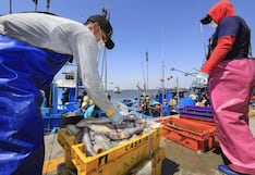 Exportaciones pesqueras crecen más de 50% en el primer trimestre