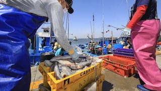 Exportaciones pesqueras crecen más de 50% en el primer trimestre