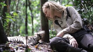 En “Wildcat”, la fauna amazónica peruana ayuda a curar las heridas emocionales de la guerra