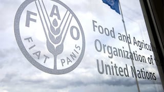 FAO advierte que crisis de fertilizantes generará menos comida en América Latina
