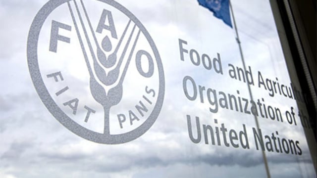 Gobierno designa representante permanente de Perú ante la FAO: ¿de quién se trata?