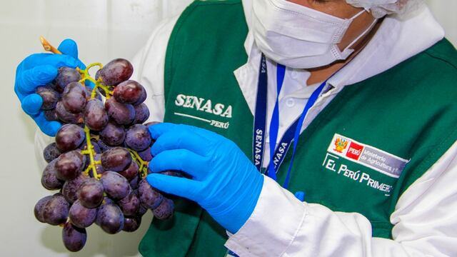 Senasa recibirá S/ 25 millones para proyectos vinculados con la inocuidad de alimentos