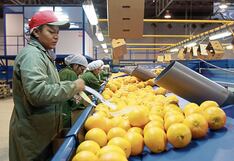 Ministro Manero: beneficios a la agroexportación deberían ser permanentes