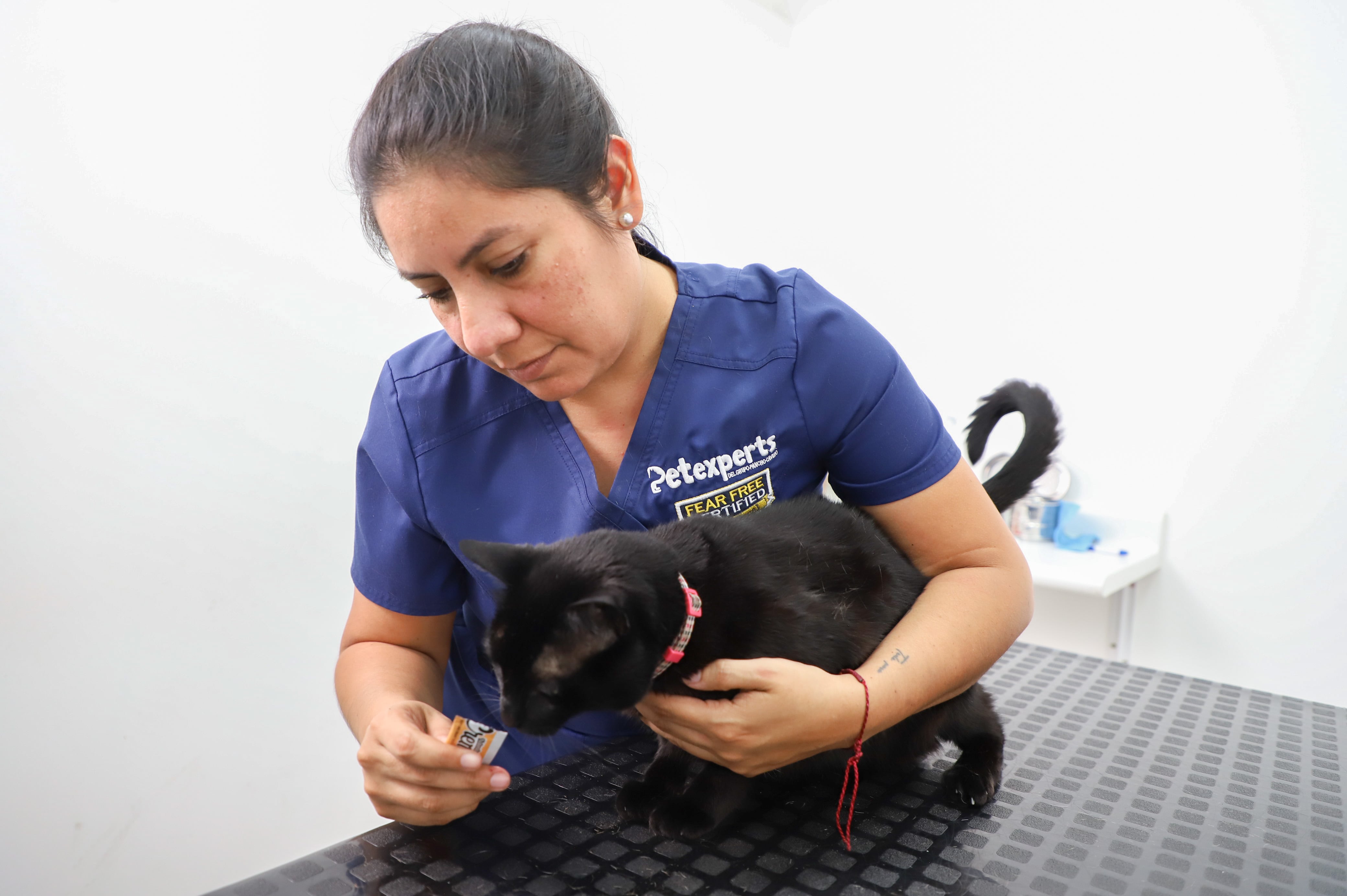 Pancho Cavero lanzó un piloto de “segunda opinión” y orientación veterinaria vía redes sociales, con seguimiento por videollamadas.