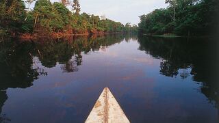 Cinco cosas a saber sobre la Amazonia