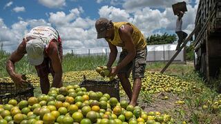 Latinoamérica ante el reto de alimentar al mundo bajo la amenaza del cambio climático