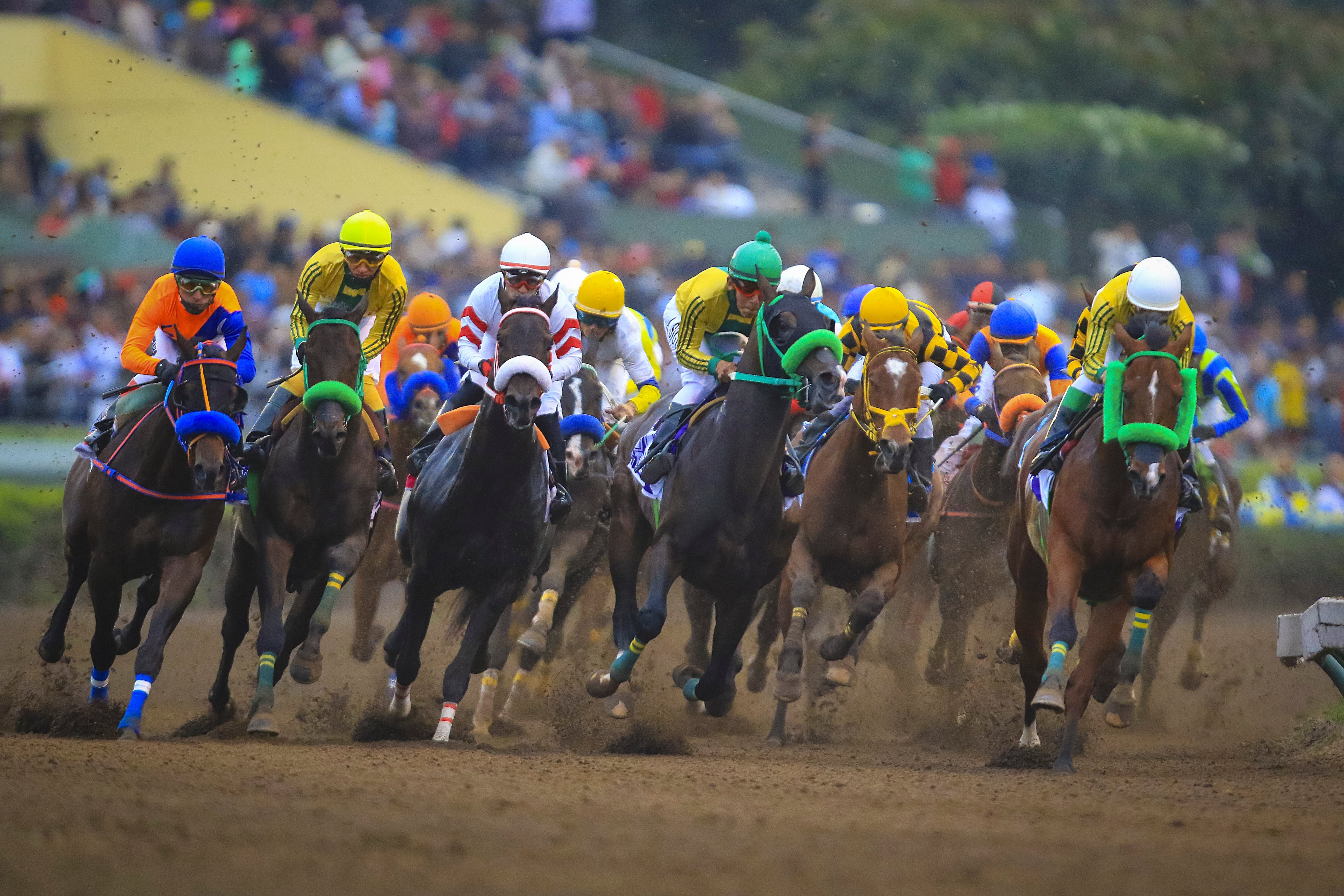Además de la actividad hípica, el predio de 100 hectáreas del Jockey Club en Surco busca transformarse en un espacio multidisciplinario para albergar desde ferias comerciales hasta un coliseo para conciertos. (Foto: GEC)