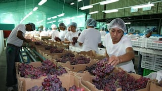 Analizarán oportunidades de exportación agroindustrial hacia Ecuador