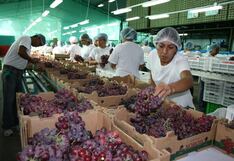 Analizarán oportunidades de exportación agroindustrial hacia Ecuador