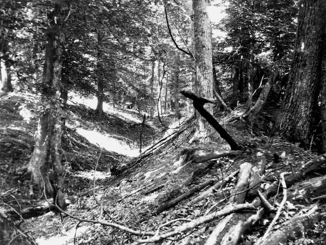 Los Terremotos de Nueva Madrid de 1811-12 fueron una serie de tres terremotos de magnitud 7,7, 7,5 y 7,7 que se produjeron en la Zona Sísmica de Nuevo Madrid, una región de alto riesgo sísmico en el medio oeste de Estados Unidos. Los terremotos causaron miles de réplicas y se sintieron en una amplia zona, pero el número de víctimas mortales fue probablemente bajo, ya que la región estaba escasamente poblada. | Crédito: U.S. Geological Survey