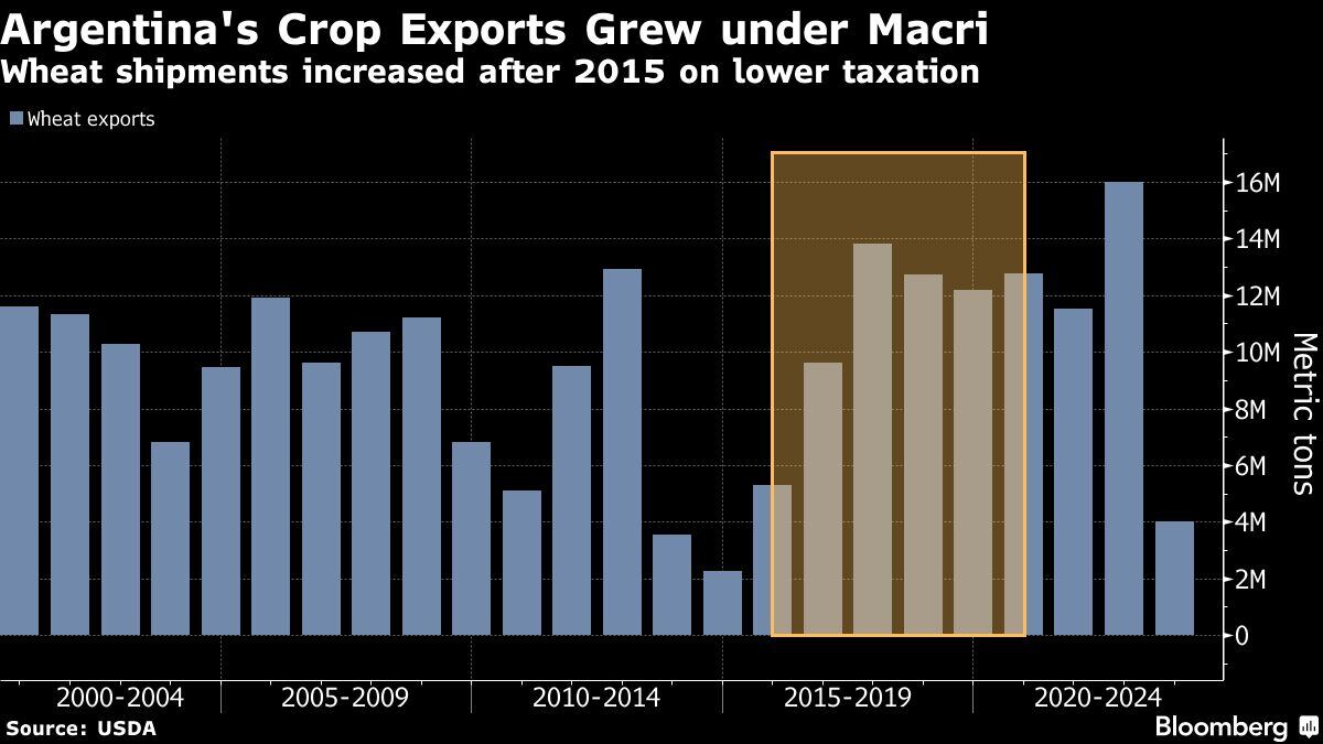 Las exportaciones de cultivos de Argentina crecieron bajo Macri | Los envíos de trigo aumentaron después de 2015 debido a menores impuestos