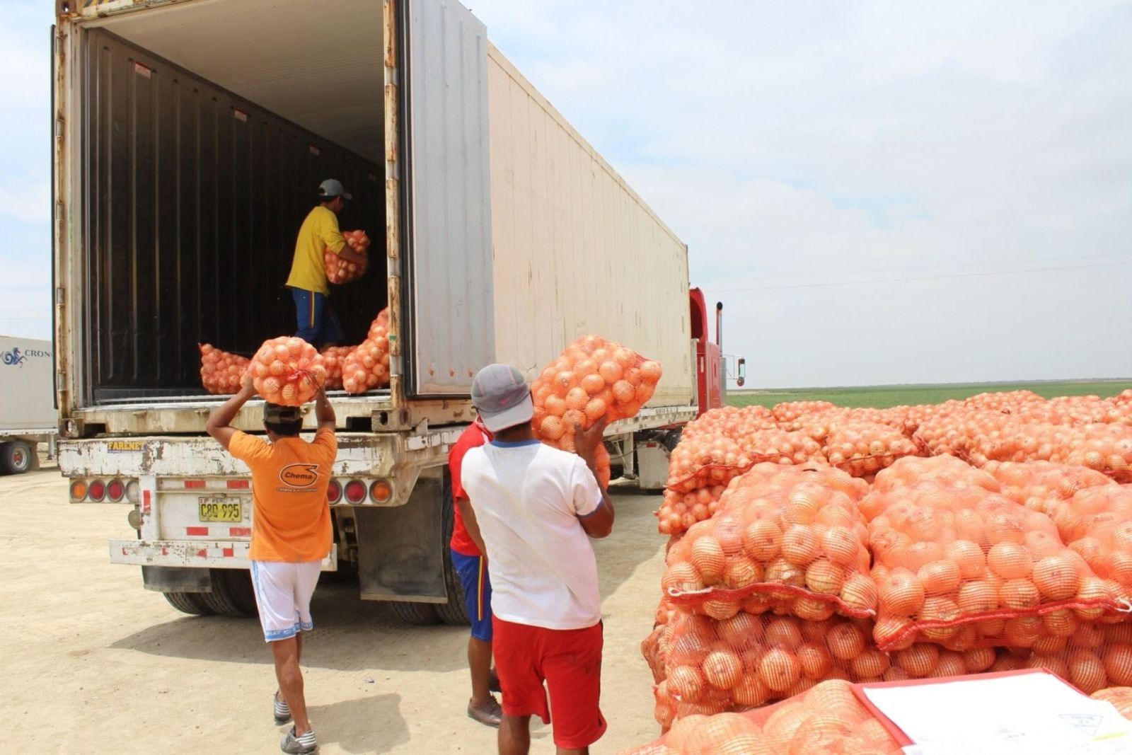 La cebolla amarilla dulce concentra el 95% de la producción total de Onix Farms.