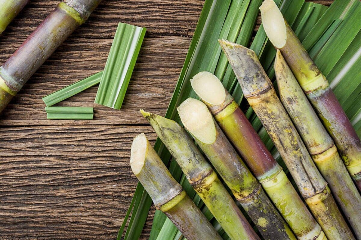 En sus cálculos, este ajuste le aseguraría vender unas 100,000 hectáreas en el mercado local y otras 400,000 hectáreas en el mercado internacional. (Foto: Pixabay/Joseph Mucira).