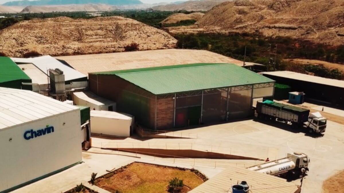 Asia, el mercado en el que busca crecer Agrícola Chavín de Huántar sin lanzar nuevos productos