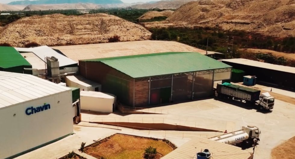 Pomica amplía presencia en Asia con estrategia de adaptación