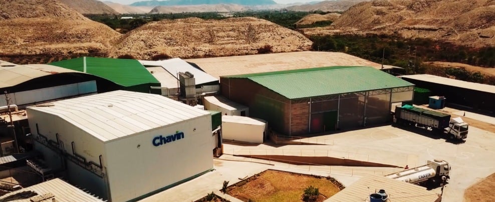 Agrícola y Ganadera Chavín de Huántar proyecta elevar sus envíos de 750 a cerca de 1,000 contenedores conforme consolide su expansión en los mercados asiáticos. (Foto: Agrícola Chavín)